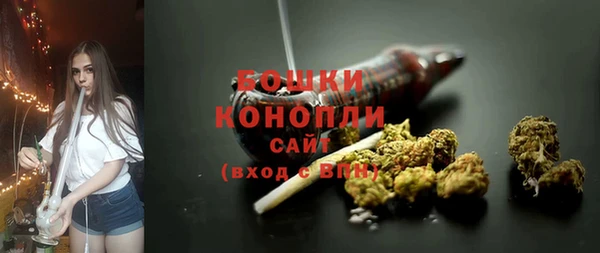 крисы Болхов