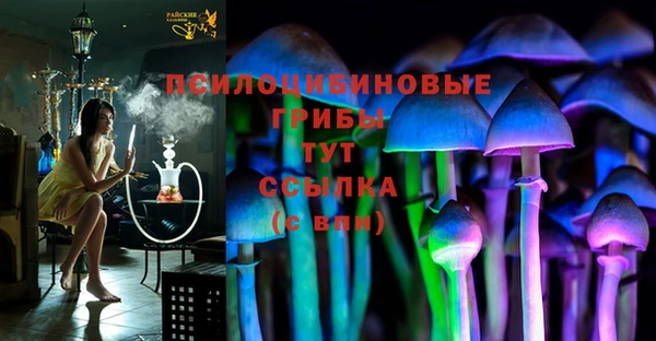 шишки Кукмор